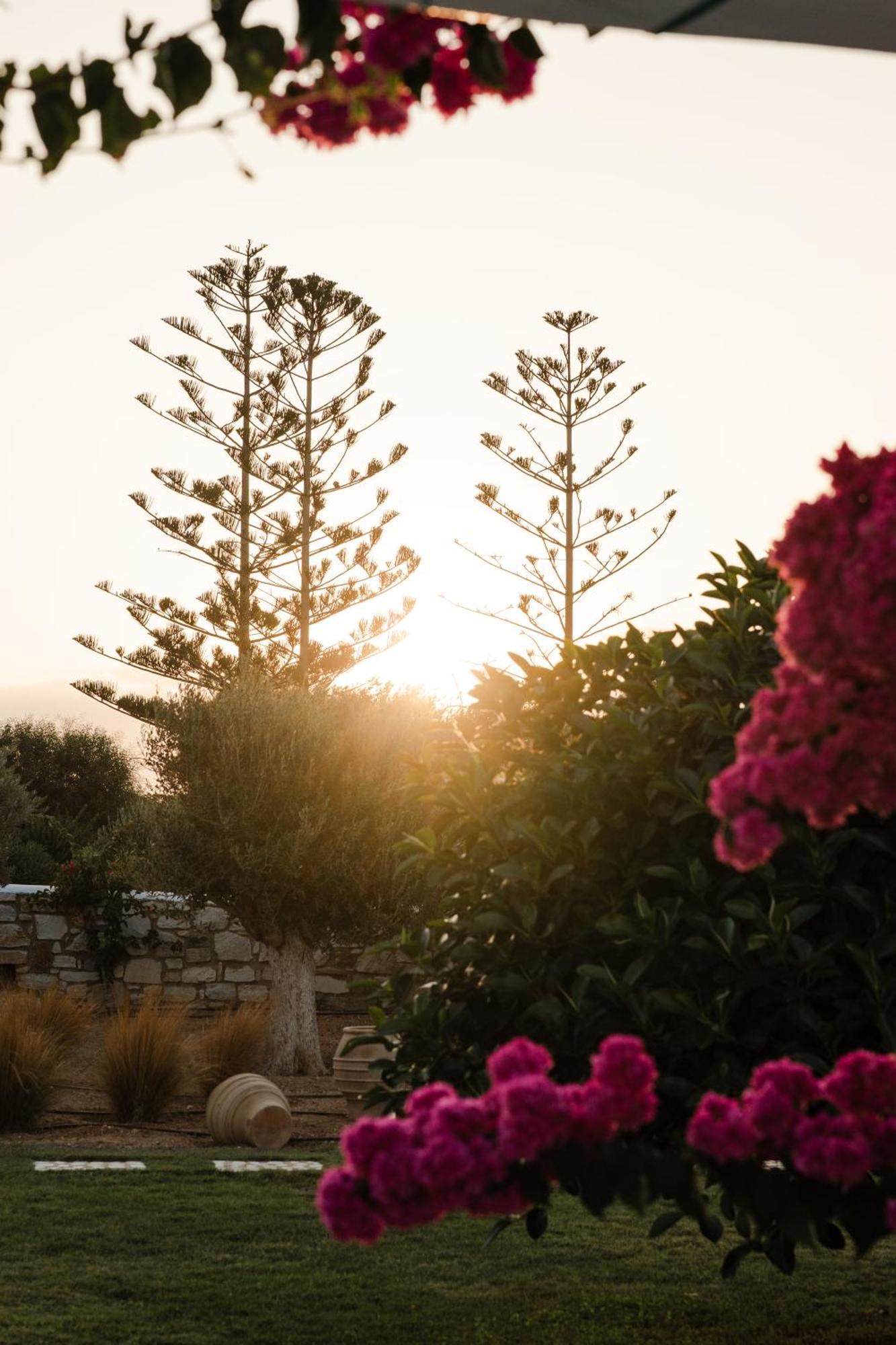 White Dunes Luxury Boutique Hotel Santa Maria  Ngoại thất bức ảnh